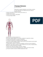 Cuidados Del Cuerpo Humano