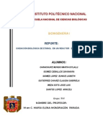 Practica 3 Oxidacion Biologica de Etanol en Un Reactor de Lecho Fijo