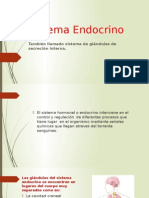 Sistema Endocrino