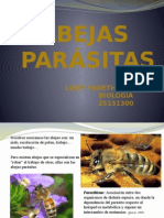 Abejas Parasitas