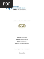 PDF Documento