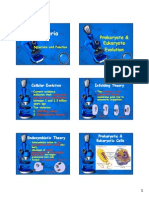 Structure of Bacteria