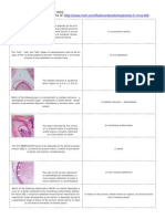 Odontogenesis MCQs