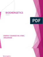 Bioenergetics by Lyn