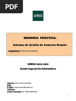 2013 Memoria Práctica Víctor Colomo PDF