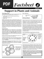 Support in Plants and Animals