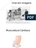 ECG Normal em Imagens