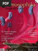 Erizo de Tierra Revista