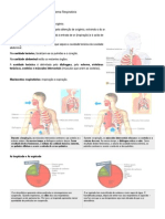 CNAT6 (1) Resumo SistemaRespiratório