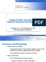 Introduction To The Cardiovascular System