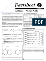 022 - Protein Synthesis I - Nucleic Acids