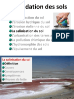 (D) Salinisation Des Sols