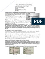 Cell - Structure and Functions