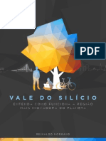 Vale Do Silicio - Reinaldo Normand