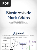 Biosíntesis de Nucleótidos