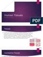 Human Tissues