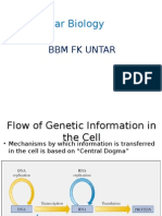 Molecular Biology: BBM FK Untar