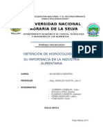 Informe Original de Hidrocolides