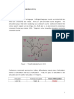 Fricatives and Plosives