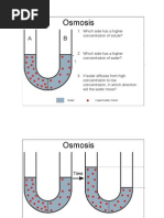 Osmosis Notes