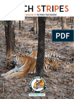 Pench Stripes