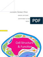 Cell Structure and Function For 1st Year MBBS Delivered by Miss Sumaira On 25 Jan 2010