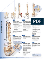 Modelos de Columnas