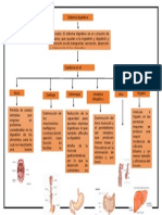 Mapa de Sistema Digestivo Digital