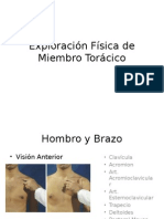 Exploración Física de Miembro Torácico