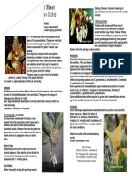 Stanhopea Factsheet