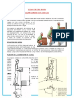 Ecuacion Del Niosh