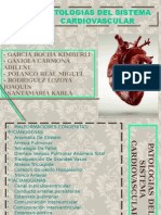 Patologias Del Sistema Cardiovascular