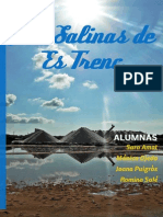 Trabajo Las Salinas