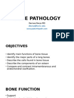 Bone Histology