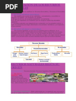 Clasificación de Los Recursos Naturales