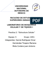 Practica 2 Estructura Celular BCT I