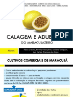 Calagem e Adubação Do Maracujá