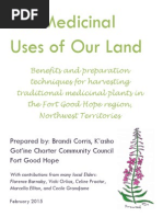 NWT Traditional Medicine Booklet - Brandi Corris Fort Good Hope 2015