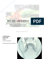 Bio 101 Lab Exer 2 PDF