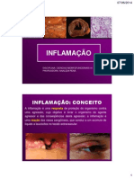 Aula Resposta Inflamatoria