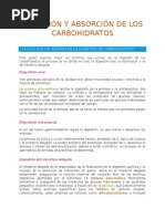 Digestión y Absorción de Los Carbohidratos