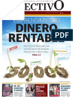 Revista Económica de PL Dinero Rentable