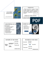 Slides Sistema Nervoso