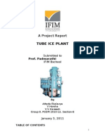 Finance Project Report On Ice Plant PDF