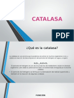 CATALASA