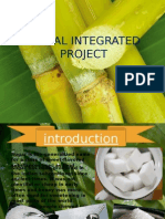 Social Integrated Project