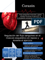 Flujo Sanguineo Muscular y Gasto Cardiaco