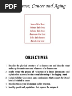 Group 6-B2 - Telomerase, Aging and Cancer