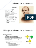 Principios Basicos de La Herencia 1