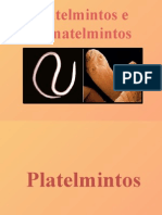 Platelmintos e Nematelmintos. Biologia